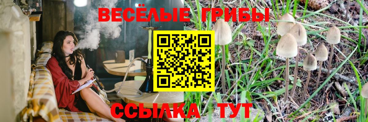 Псилоцибиновые грибы Psilocybine cubensis  продажа наркотиков  Вход с VPN  Шуя  Галлюциногенные грибы MAGIC MUSHROOMS 
