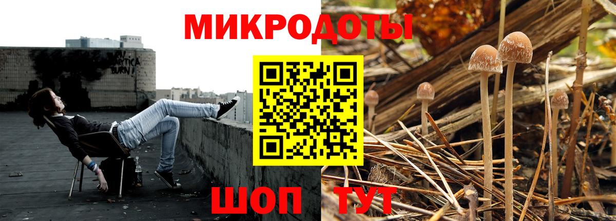 Псилоцибиновые грибы Psilocybe Шуя