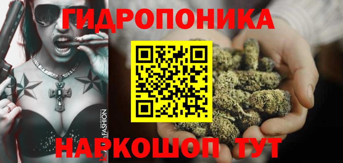 Марихуана конопля Шуя